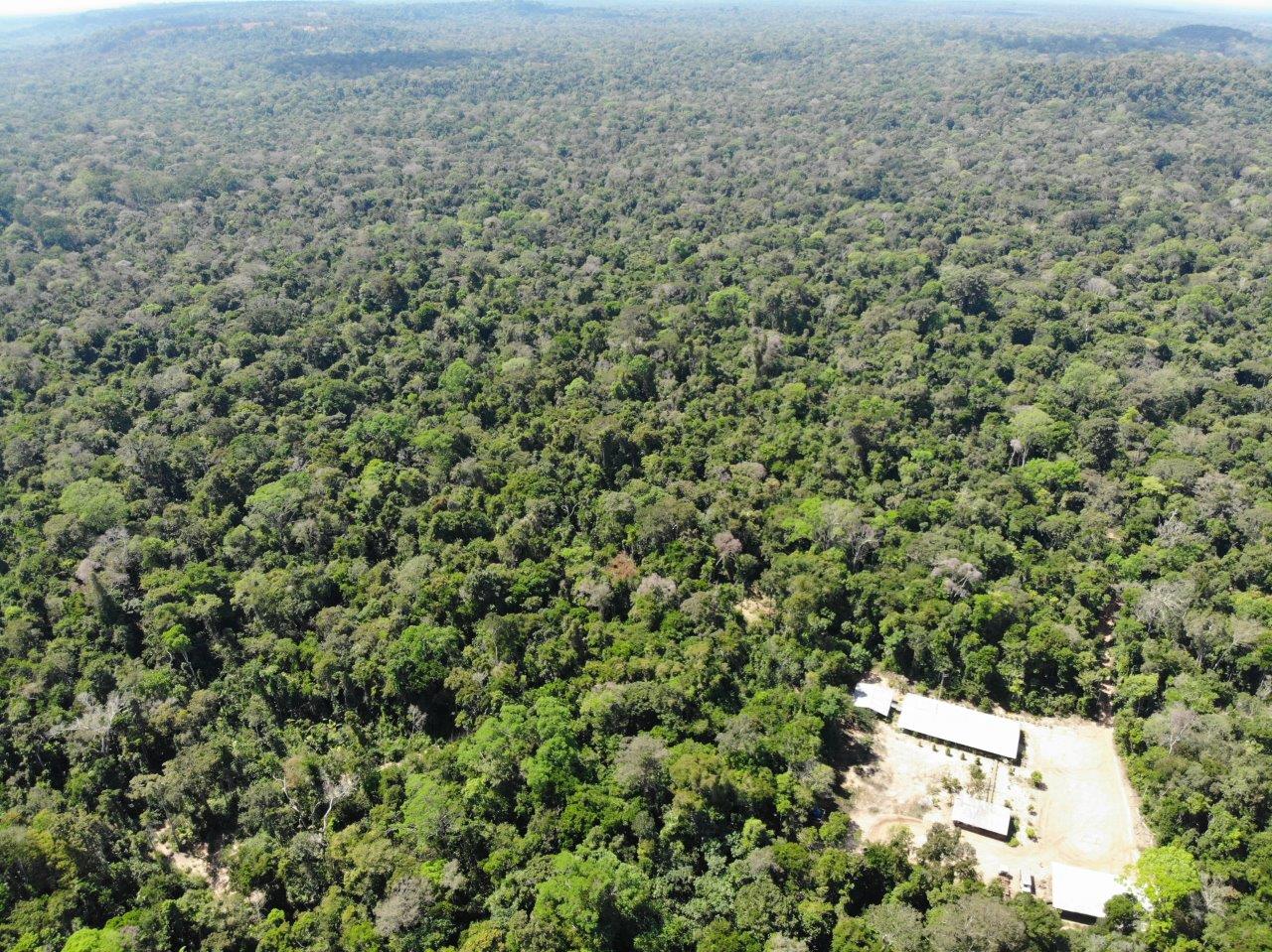 3 -  Extração UMF IA - área extraída em 2016. - Mostra como a floresta se regerena facilmente (4) -  E alojamento em baixo. .jpg